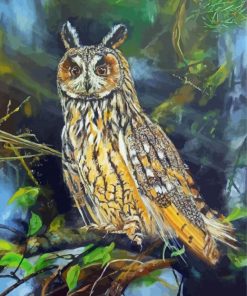 Long Eared Owl Paint By Numbers