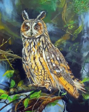 Long Eared Owl Paint By Numbers