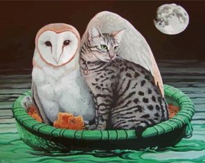 Moonlight Owl And The Pussycat Paint By Numbers