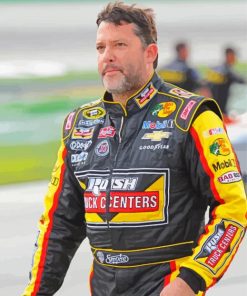 Racing Driver Tony Stewart paint by number