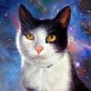 Space Cat Paint By Numbers