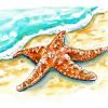 Starfish On Beach Art Paint By Numbers