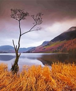 Buttermere Lake Landscape paint by number