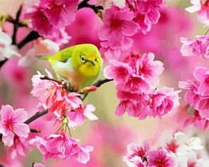 Yellow Bird And Pink Flower Paint By Numbers