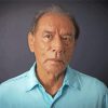 Actor Wes Studi Paint By Numbers