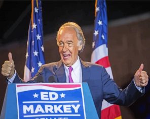 American Ed Markey Paint By Numbers