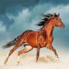Brown Lusitano Horse Running Paint By Numbers
