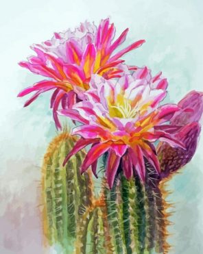 Cactus And Flowers Art Paint By Numbers
