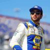 Chase Elliott Racer Paint By Numbers