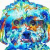 Colorful Abstract Shih Tzu Paint By Numbers