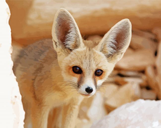 Fennec Fox Paint By Numbers