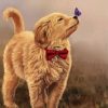 Golden Puppy Art Paint By Numbers