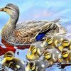 Mallard Duck And Baby Ducks Paint By Numbers