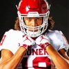 Oklahoma Sooners Player Paint By Numbers