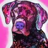 Pink And Black Dog Art Paint By Numbers