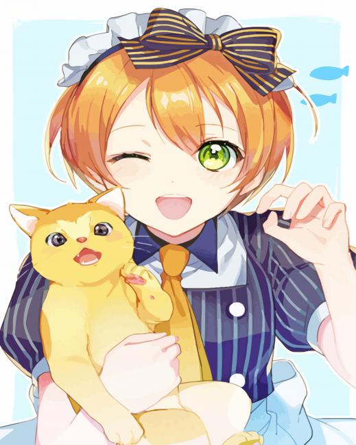 Rin Hoshizora And Cat Paint By Numbers
