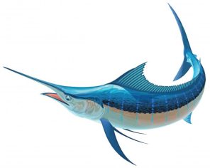 Sailfish Art Paint By Numbers