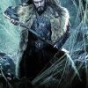 Thorin Oakenshield The Hobbit Paint By Numbers