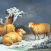 Three Sheep In Snow Paint By Numbers