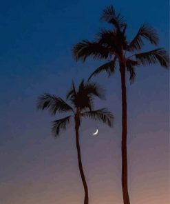 Tropical Palm And Moon Paint By Numbers