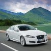 White Jaguar Xf Paint By Numbers