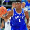 Zion Williamson Basketball Player Paint By Numbers