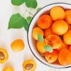 Apricots Fruit Paint By Numbers