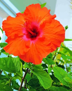Beautiful Orange Hibiscus Paint By Numbers