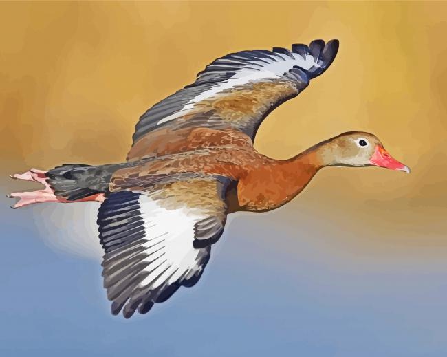 Flying Whistling Duck Paint By Numbers