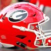Georgia Bulldogs Helmet Paint By Numbers