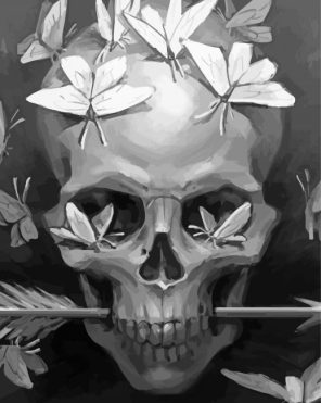 Monochrome Skull And Butterflies Paint By Numbers