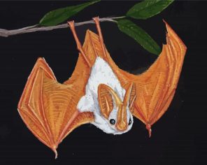Winged Bat Art Paint By Numbers