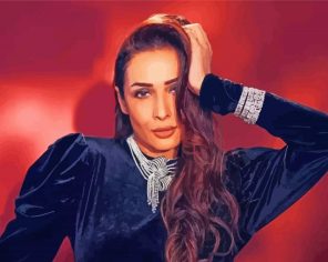 The Actress Malaika Arora Paint By Numbers