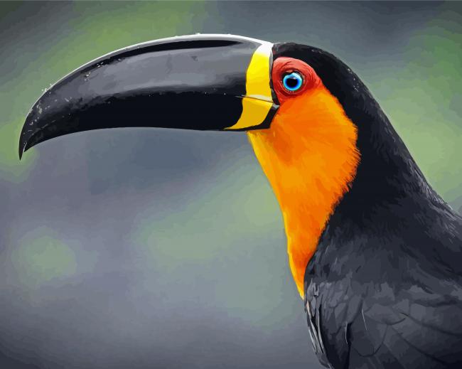 Toucan Bird Portrait Paint By Numbers