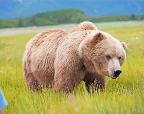 Wild Swedish Brown Bear Paint By Numbers
