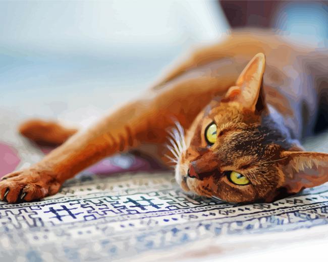 Abyssinian Cat Paint By Numbers