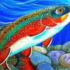 Brook Trout Fish Paint By Numbers