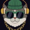 Cat With Headphones And Glasses Paint By Numbers