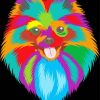 Colorful Pomeranian Dog Head Paint By Numbers